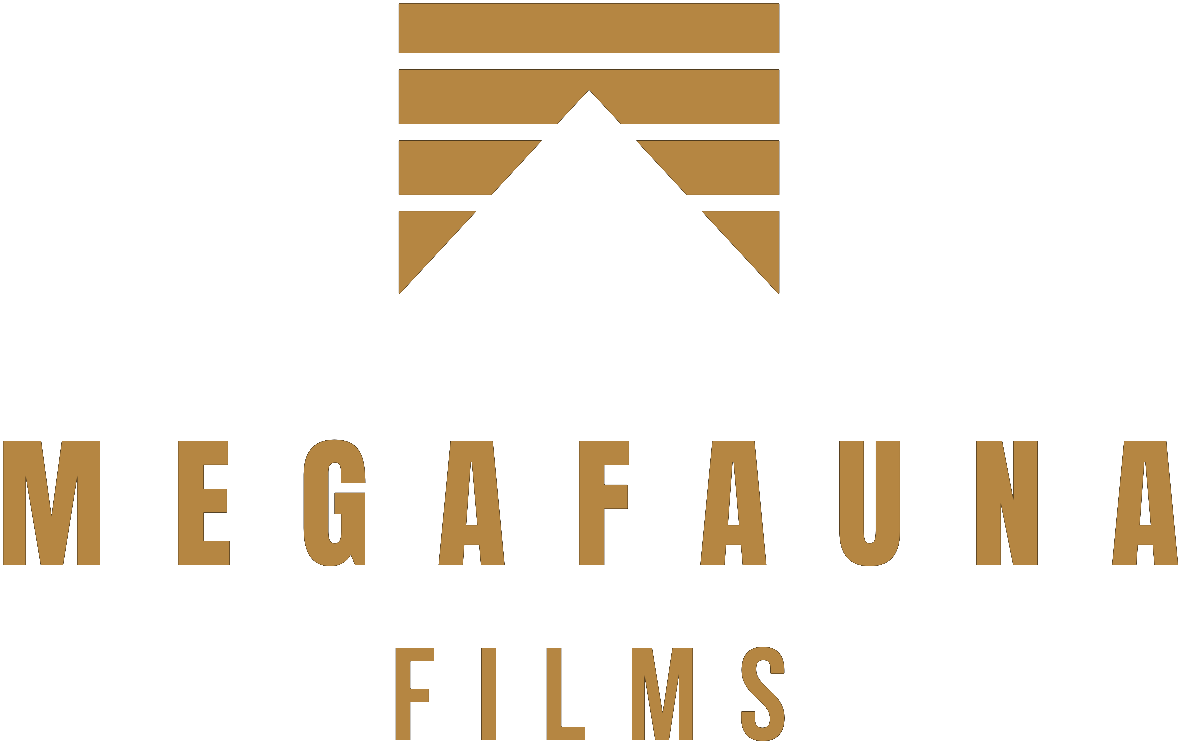 Logo Megafauna Films — montage vidéo